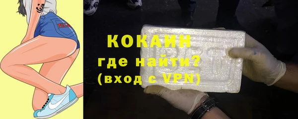 стаф Алзамай