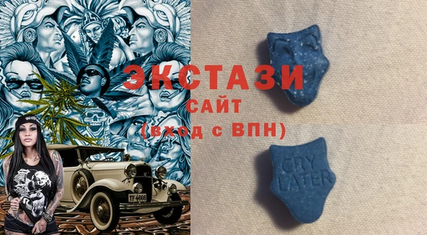 стаф Алзамай