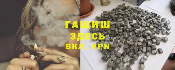 стаф Алзамай